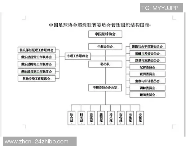 足球协会的历史发展与组织结构全面解析